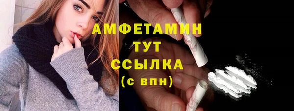 соль ск Богданович