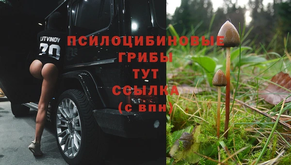 мяу мяу мука Богородицк