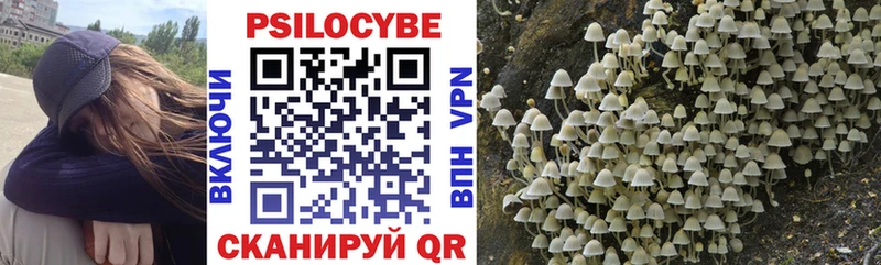 блэк спрут зеркало  Каменск-Уральский  Псилоцибиновые грибы Magic Shrooms 